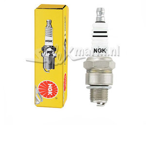 Spark Plug 